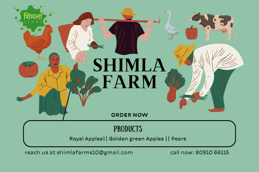 Cultivating Sustainability: Exploring Shimla Farms and the Art of Sustainable Agriculture