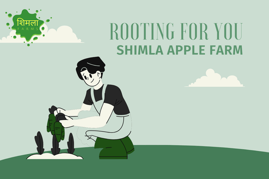 "Chilling Hours: The Unseen Heroes of Apple Farming"