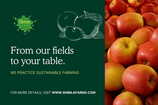 Your Haven to Buy Organic Apples, Harvesting Generations of Sustainable Bliss: Shimla Farms.