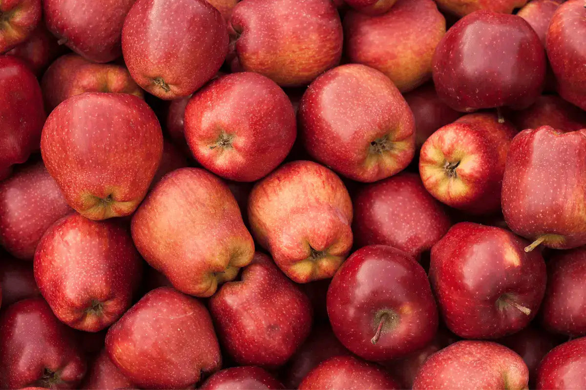 Red royal delicious
