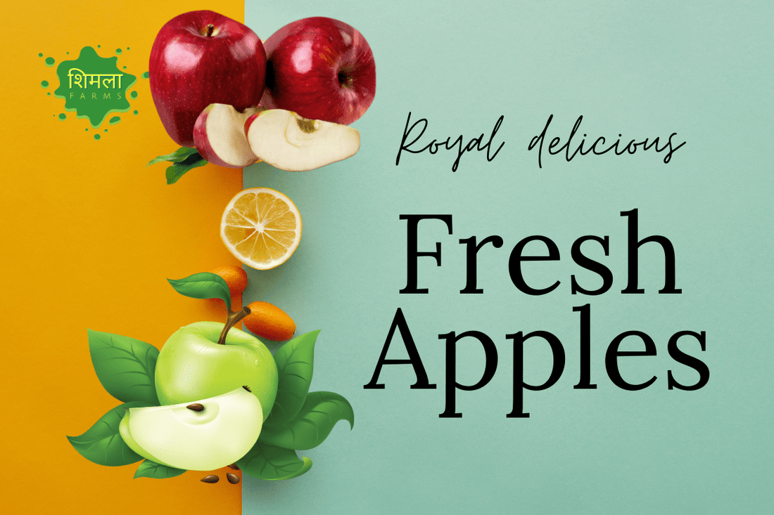 Discovering the Best Apples at Shimla Farms: The Royal Delicious Reigns Supreme!