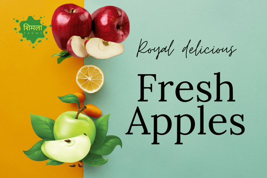 Discovering the Best Apples at Shimla Farms: The Royal Delicious Reigns Supreme!