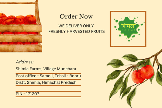 "Nourish Your Body with Royal Delicious: The Epitome of Health from Shimla Farms"